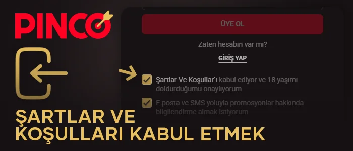Pinco Casino'nun şart ve koşullarını kabul edin