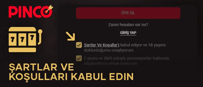Pinco Türkiye'ye kayıt olurken Şartlar ve Koşulları kabul edin